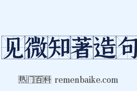 见微知著造句是什么意思的图片